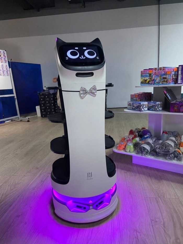 BellaBot