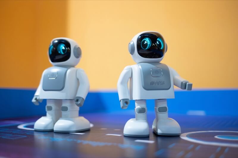 Фотогалерея Robopark